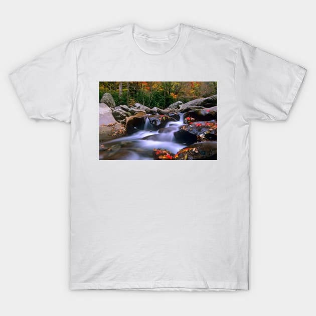 Little Pigeon River Cascading Among Rocks And Colorful Fall Maple Leaves Great Smoky Mountains National Park T-Shirt by RhysDawson